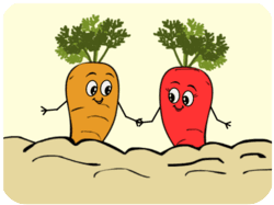 Cute Valentine Carrots Holding Hands