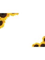 General Frame 1