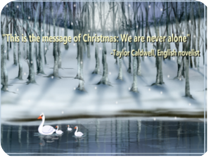 Christmas Cards 036